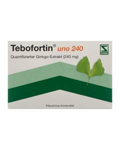 Tebofortin uno 240 cpr pell 240 mg 60 pce