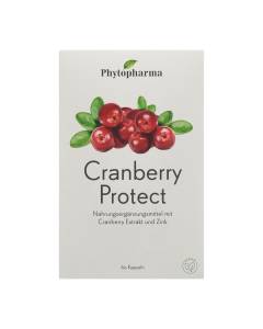 Phytopharma cranberry protect caps