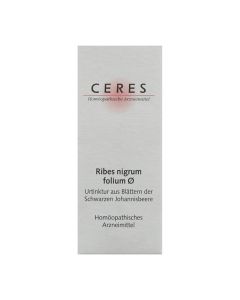 Ceres Ribes nigrum