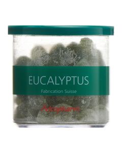 ADROPHARM Eukalyptus Bio reizlindernde Past